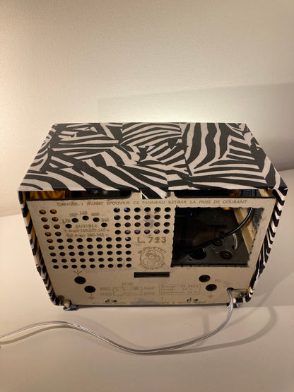 Ducretet & Thomson L723 de 1956  Collection Savane "ZEBRE" BOSE Soundlink-Micro Bluetooth