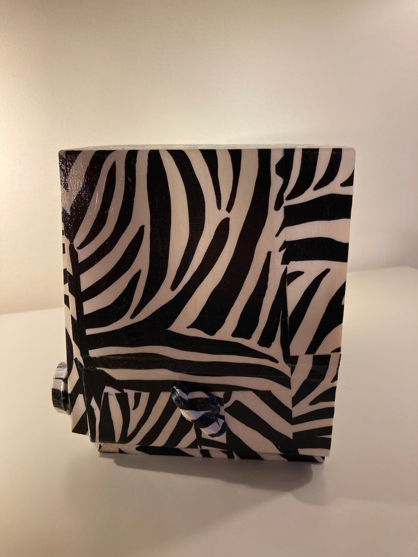 Ducretet & Thomson L723 de 1956  Collection Savane "ZEBRE" BOSE Soundlink-Micro Bluetooth