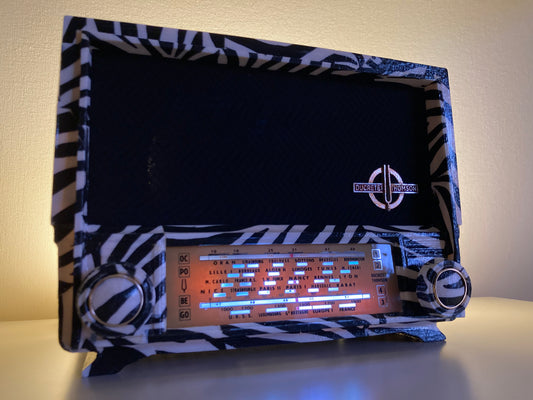 Ducretet & Thomson L723 de 1956  Collection Savane "ZEBRE" BOSE Soundlink-Micro Bluetooth
